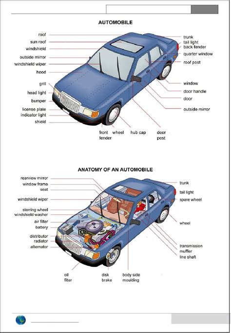Car Body Diagram Anatomy