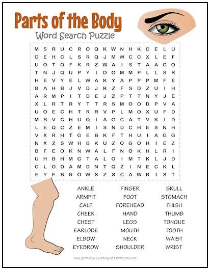 Body parts puzzle printable printable word searches