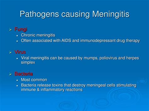 PPT - CNS Pathology PowerPoint Presentation - ID:528134