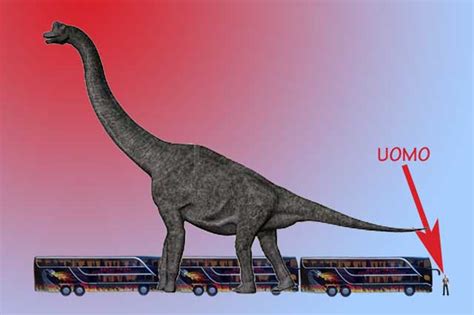 Festeggiato il più vecchio ferroviere. Dinosauri | Qual è stato il più grande di tutti? - Focus ...