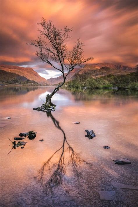 The 25 Best Lone Tree Ideas On Pinterest Lakes In