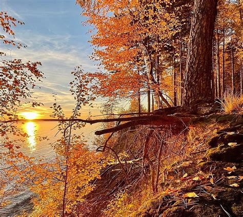 720p Free Download Autumn Idyll Autumn Nature Idyll Scene Hd