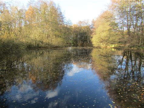 Elstead Common - Pond © Colin Smith :: Geograph Britain and Ireland
