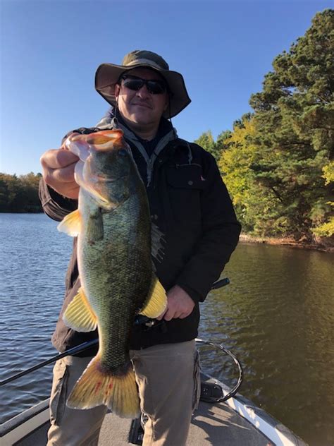 Lake Fork Fishing Reports