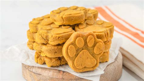 Easy Pumpkin Dog Biscuits Recipe Spoiled Hounds