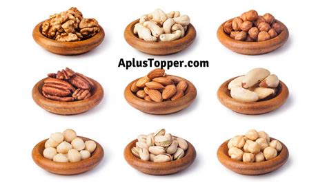 Types Of Nuts List Of Top 12 Varieties And Types Of Nuts With