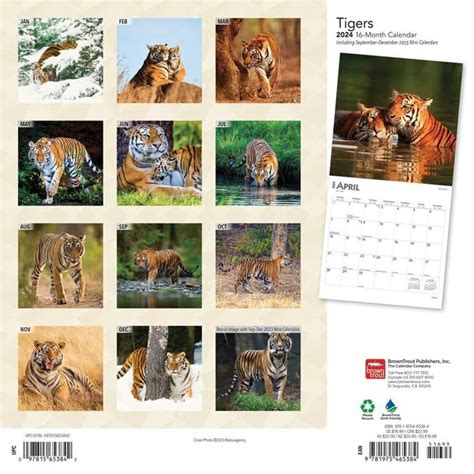 Browntrout Tiger Calendar 2024