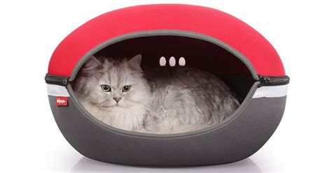 7 choosing the best cat bed. 10 of the Best Cat Beds | PetMoneySaver
