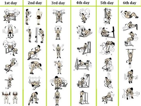 6 Day Workout Routines Workout Routine For Men Weight Training