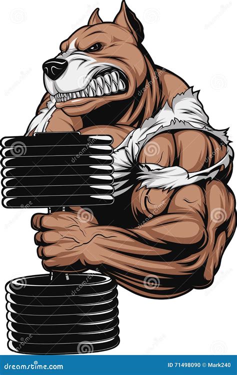 Strong Pitbull Bodybuilder Cartoon Vector 72110573