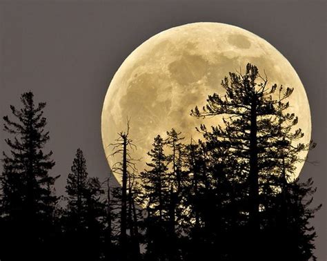 Fourth Of July Will Close With The Full Buck Moon