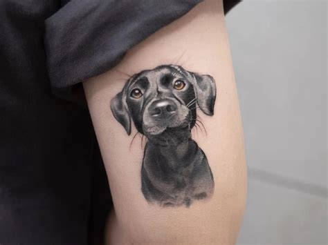 Tatuaje De Mascotas 10 Masters