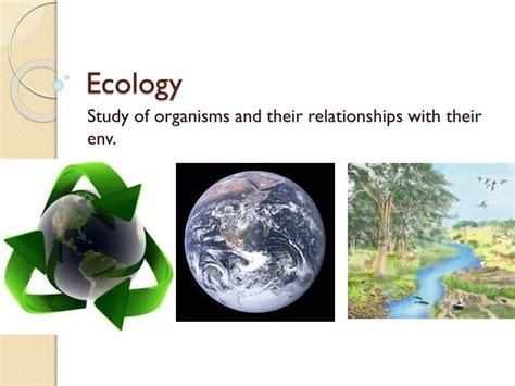 Ppt Ecology Powerpoint Presentation Free Download Id2093046