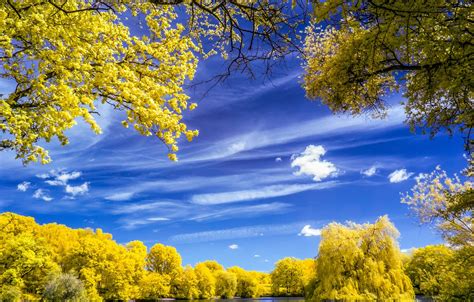 Wallpaper Autumn The Sky Clouds Trees Lake Images For Desktop