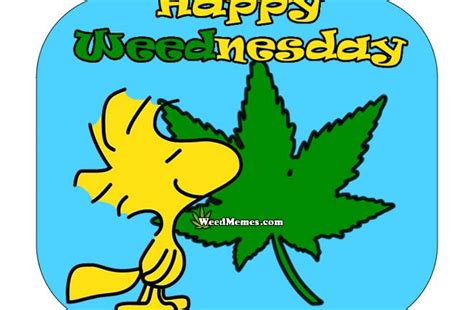 Wednesday Memes Weed Memes