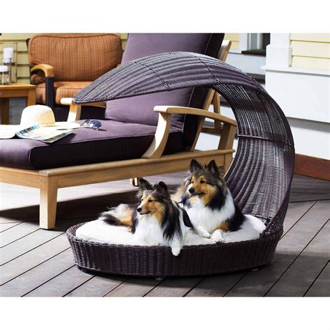 I've included a mix of stylish and functional beds, so make sure you read each review to find. 12 Beautiful Dog Beds That Will Instantly Enhance Your ...