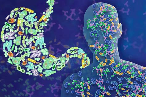 Chemicals Produced By Gut Microbiome Can Identify Critically Ill And