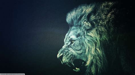Lion Wallpapers For Iphone » Earthly Wallpaper 1080p Here are only the best lion iphone wallpapers.