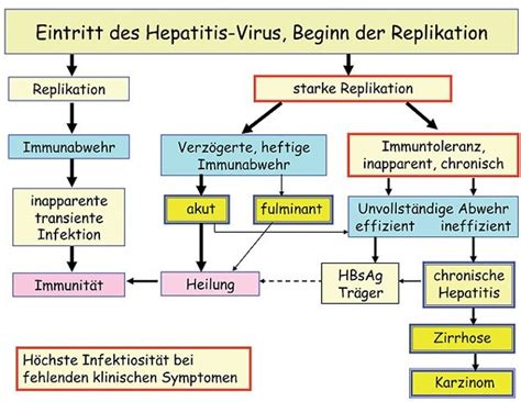 Some people or animals with hepatitis have no symptoms, whereas others develop yellow discoloration of the skin and whites of the eyes (jaundice), poor appetite, vomiting, tiredness, abdominal pain, and diarrhea. Hepatitis&More: Verlauf Akute und Chronische Hepatitis B