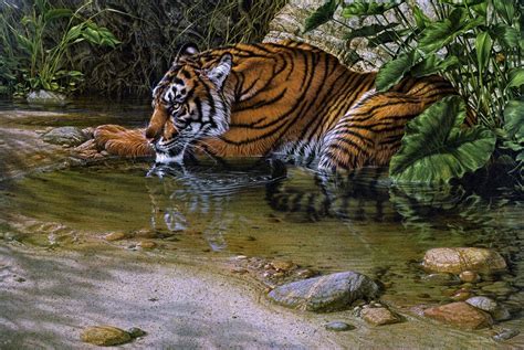 Tiger In The Jungle Painting At Explore Collection