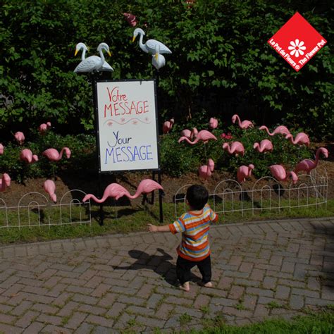Additional zone fee may apply. Rent Flamingos + Birthday Yard Signs in Montreal | The ...