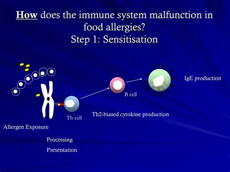 A food allergy is when the body's immune system reacts unusually to specific foods. PPT - Allergy in a 'nutshell' GP guide to survival ...