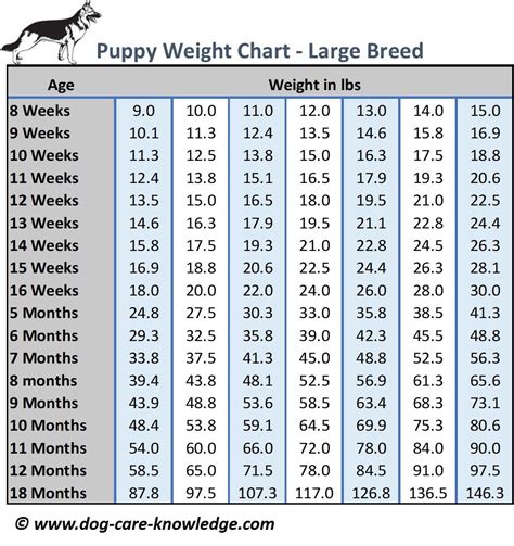 Puppy Weight Chart Kg