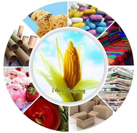 This process should alter the structure of the starch molecules, making even wheat sources unlikely to cause a reaction in those with gluten sensitivity. Modified Starch Buy Modified Starch in Erode Tamil Nadu ...