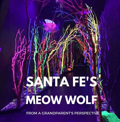 Santa Fes Meow Wolf Art Installation From A Grandparents Perspective