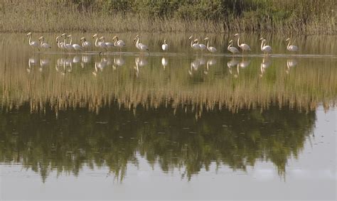 Photo Tagus Estuary By Carlos Loff Fonseca Nature Landscape