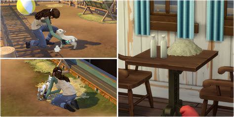 The Ultimate Guide To Mini Goats And Sheep In The Sims 4 Horse Ranch