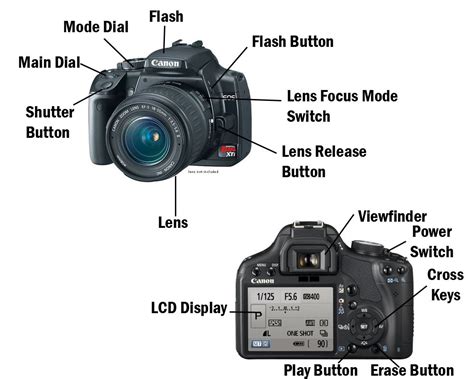 Image Result For Basic Dslr Camera Diagram Camera Basics Digital Camera Photography Camera