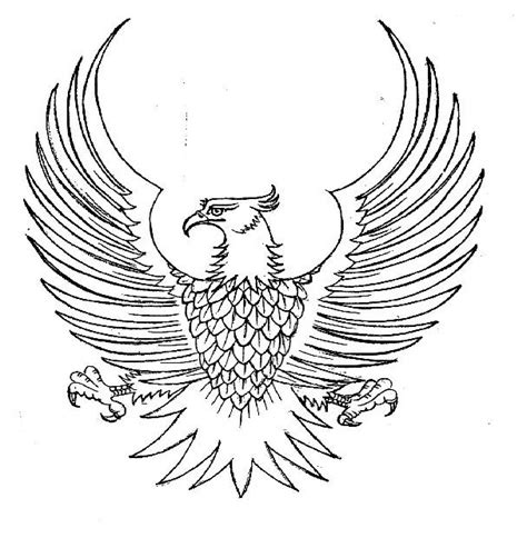 Sketsa Garuda Hitam Putih Mantap Jpeg Myid