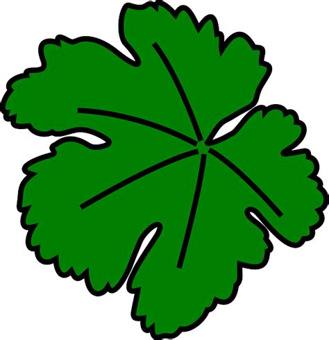 We did not find results for: 23+ Gambar Daun Kartun Png - Gani Gambar
