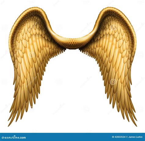 Angel Wings Stock Illustration Illustration Of Wings 42833534