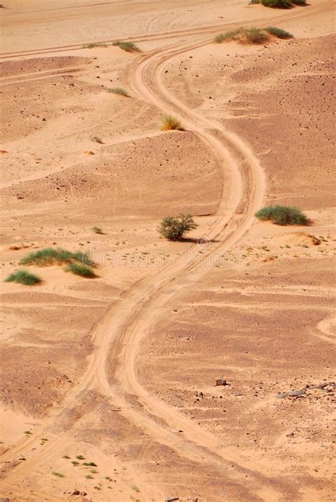 Tracks On The Sand Sahara Desert Libya Stock Photo Image Of Africa