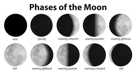 Its Just A Phase Moon Phases Svg File