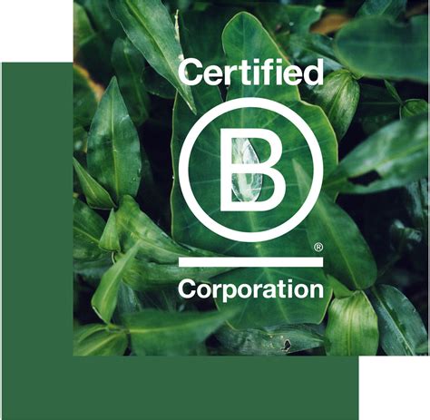 Certification B Corp Simones And Co