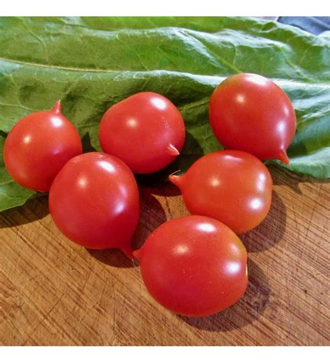 Tomato Riesentraube Seeds