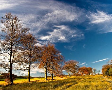 Autumn Trees Grass Sky Clouds Wallpaper 1280x1024 Resolution