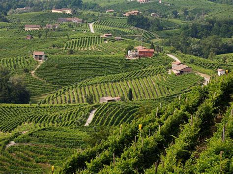 See more of strada del prosecco e vini dei colli conegliano valdobbiadene on facebook. Casa Delser - Agriturismo Strada del Prosecco