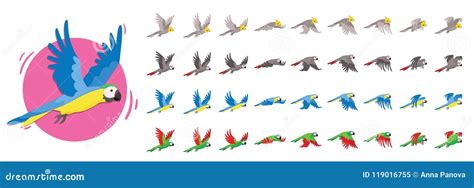 Animations The Bird Is Flying Parrot Animations Set Of Sprite Bird