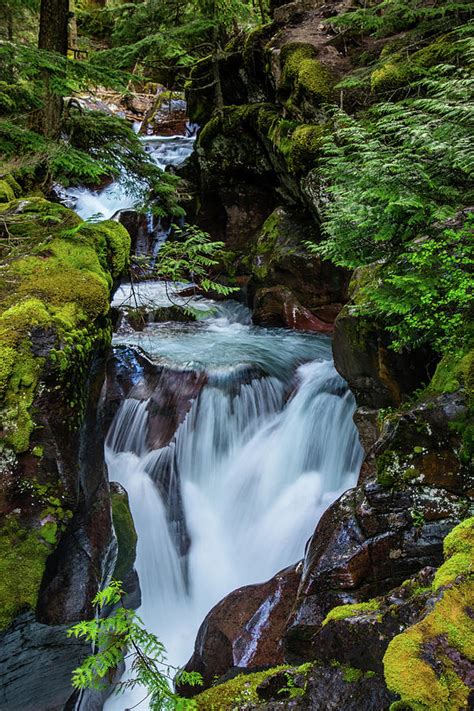 Cascades Of Avalanche Creek Photograph By Angela Hope Photography Pixels
