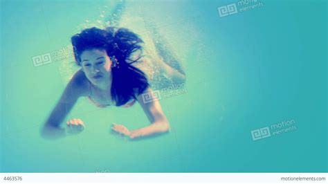 Brunette In Bikini Diving Into Swimming Pool Stock Video Footage 4463576