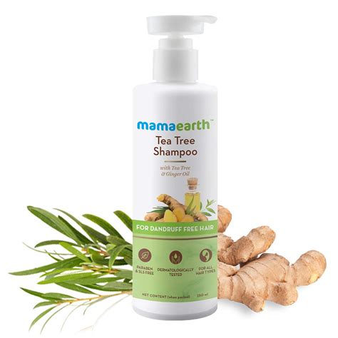 Also, i see a noticeable difference in my. Mamaearth Tea Tree Anti Dandruff Shampoo > Dr. Health Clinic