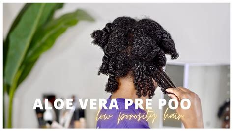does it still work aloe vera pre poo on low porosity hair youtube