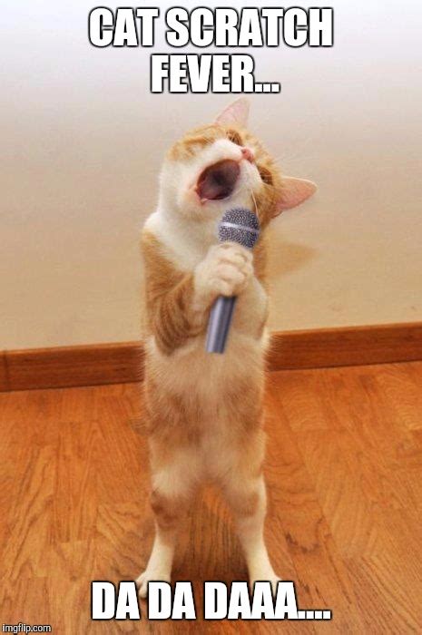 Cat scratch fever | meme on sizzle. singingcat - Imgflip