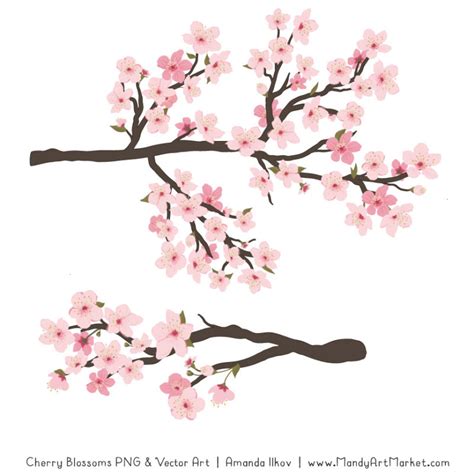 Free Cherry Blossom Clipart Vectors By Mandy Mandy Art