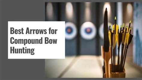 10 Best Arrows For Compound Bow Hunting In 2023 Buying Guide