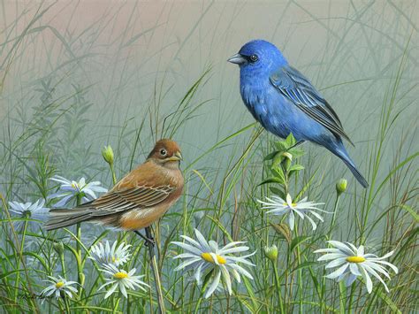 Indigo Bunting Painting By Mike Brown